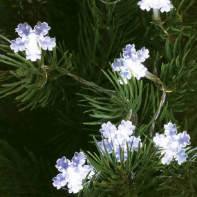 LED-s izzósor, hókristály LED-s izzósor, hókristály