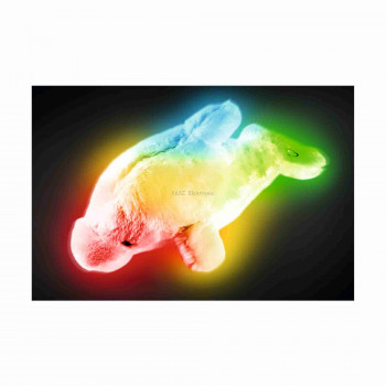 Plüssdelfin hangulatvilágítás Plüssdelfin hangulatvilágítás