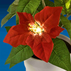 LED-es mikulásvirág, 3V